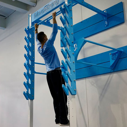 MoveStrong Salmon Ladder for Ninja Training » Fitness Gizmos