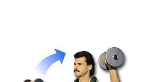 ShoulderHorn Rotator Cuff Training Device