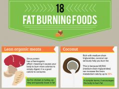 18 Fat Burning Foods {Infographic}