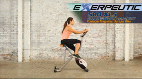 Exerpeutic 500 XLS