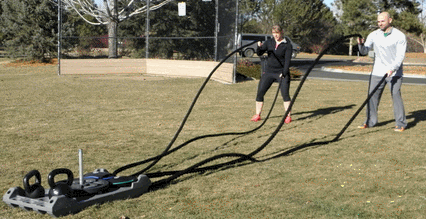 3 in 1 Weight Training Sled