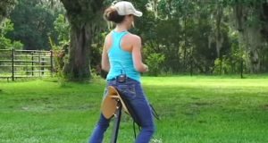 Home Horse Balance & Core Trainer