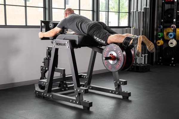 Rogue Donkey For Reverse Hyperextensions Glute Exercises Fitness Gizmos