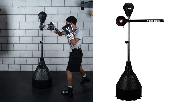 speed bag with reflex bar