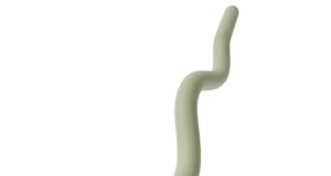 Bala Beam (15lbs) for Strength Training